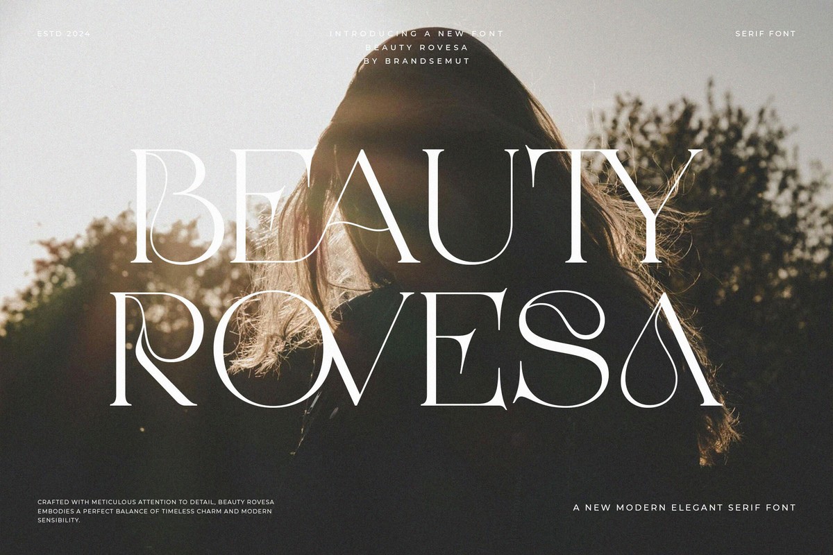 Beauty Rovesa Font preview