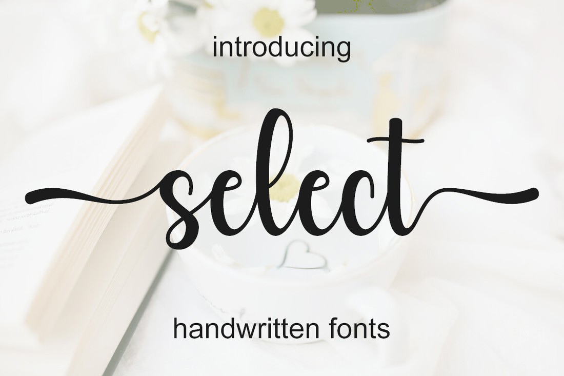 Select Regular Font preview