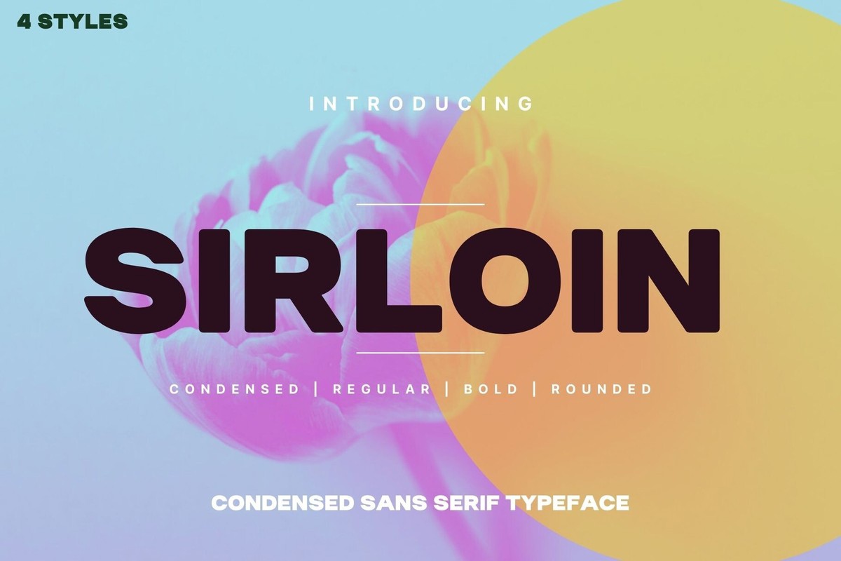 Sirloin Regular Font preview