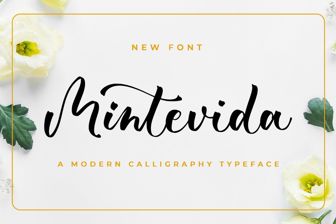 Mintevida Font preview